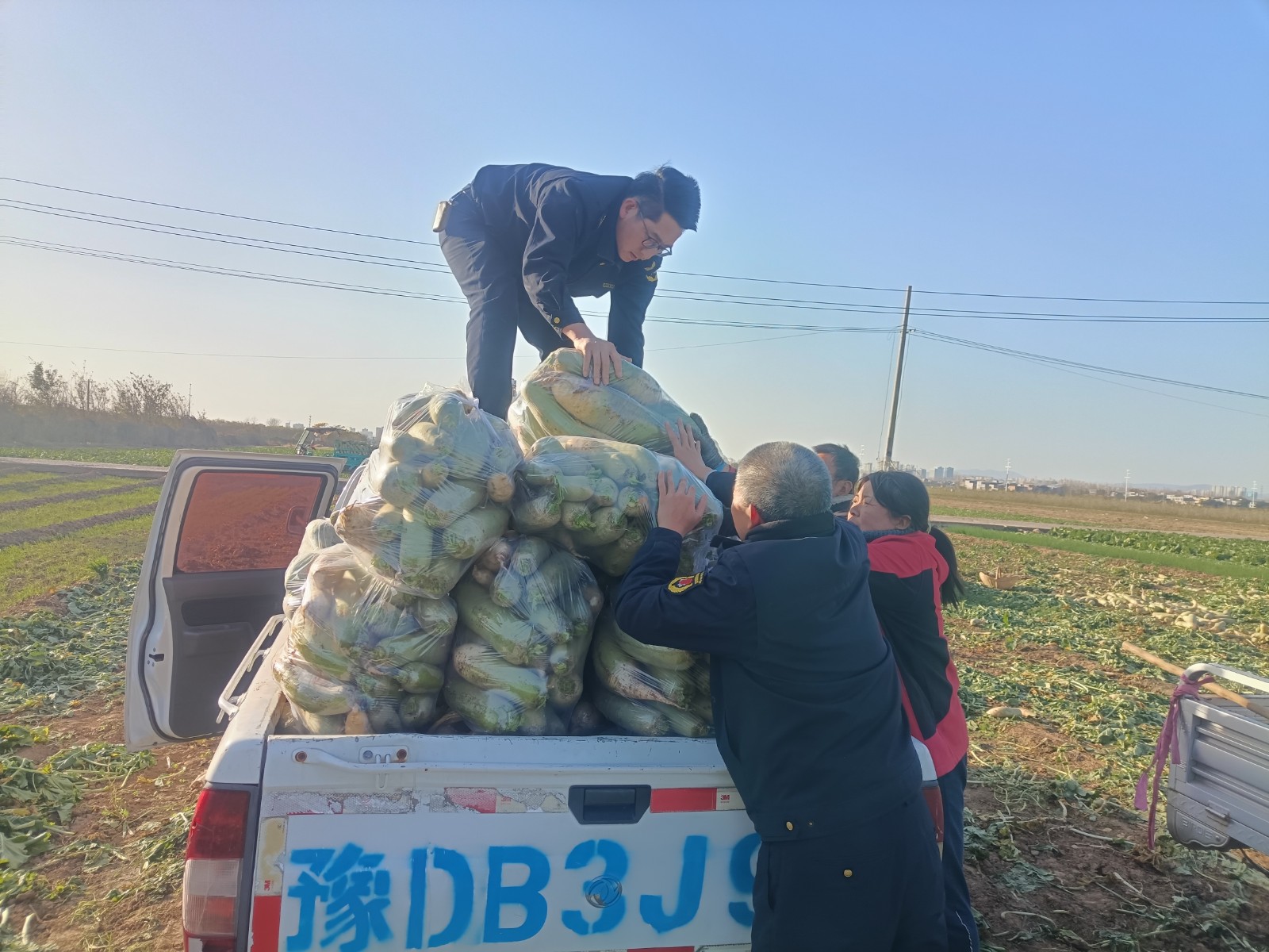 装车.jpg