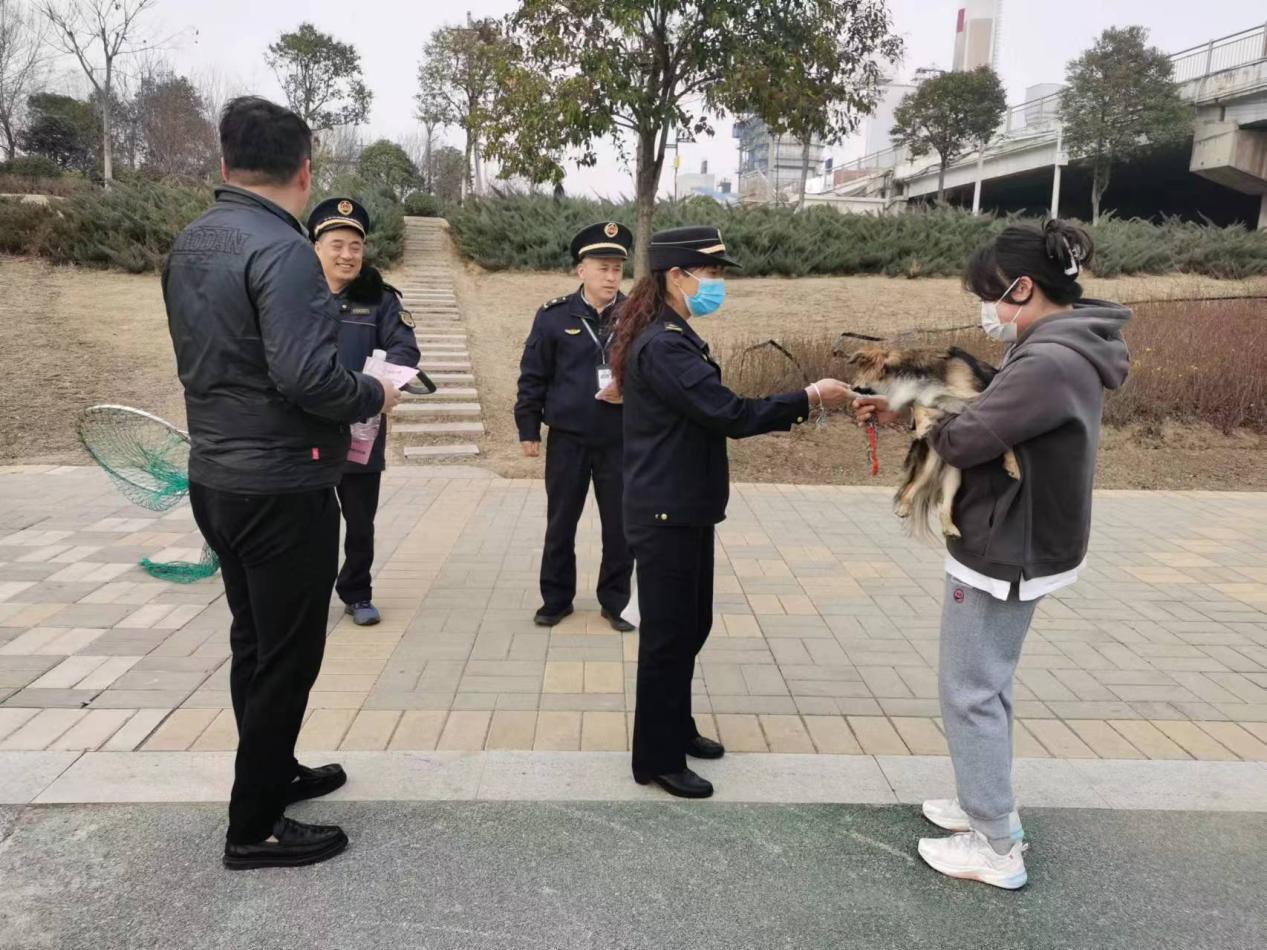图片20.png