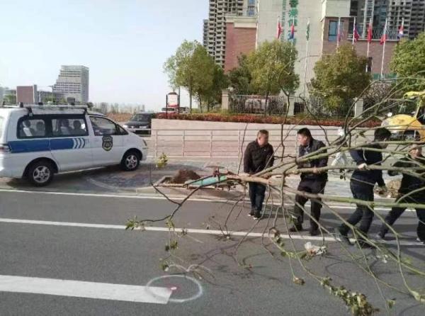 微信图片_20230411153413.jpg
