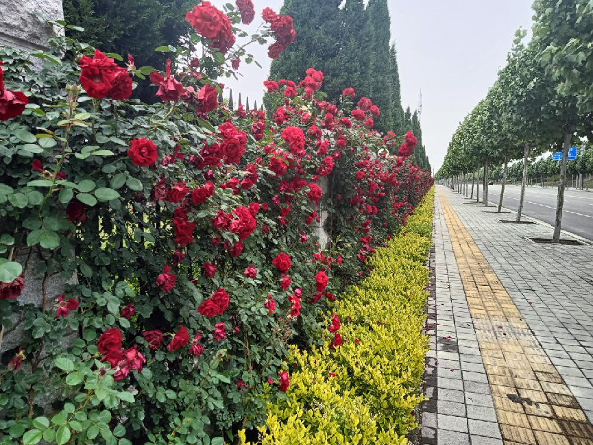 图片14.png