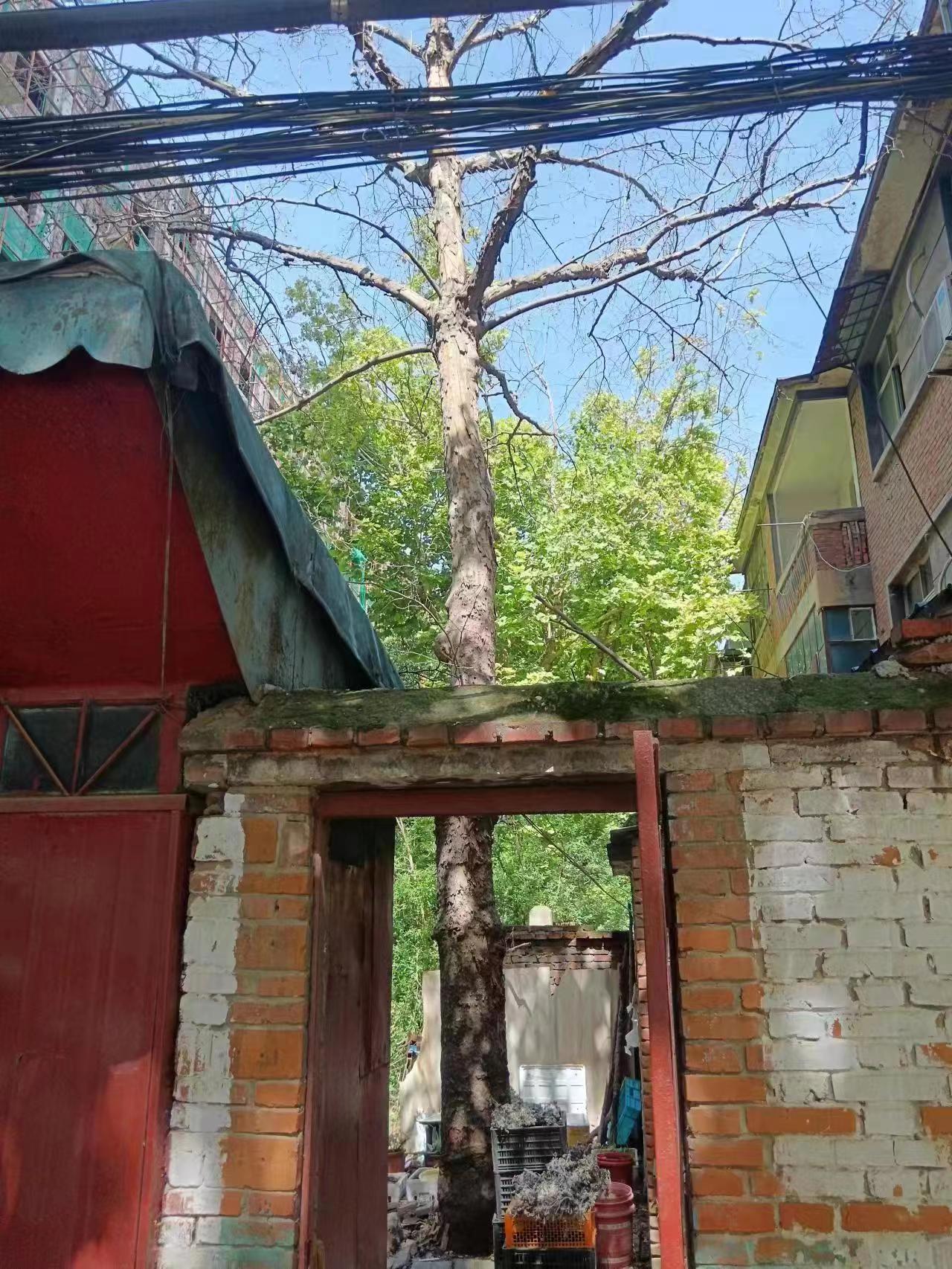 1654383947.jpg
