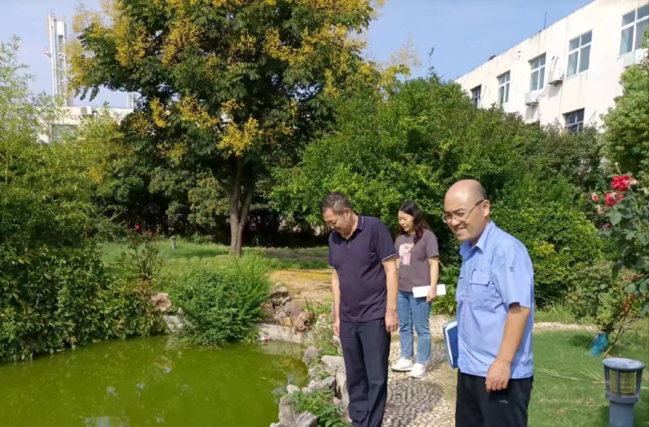 图片12.png