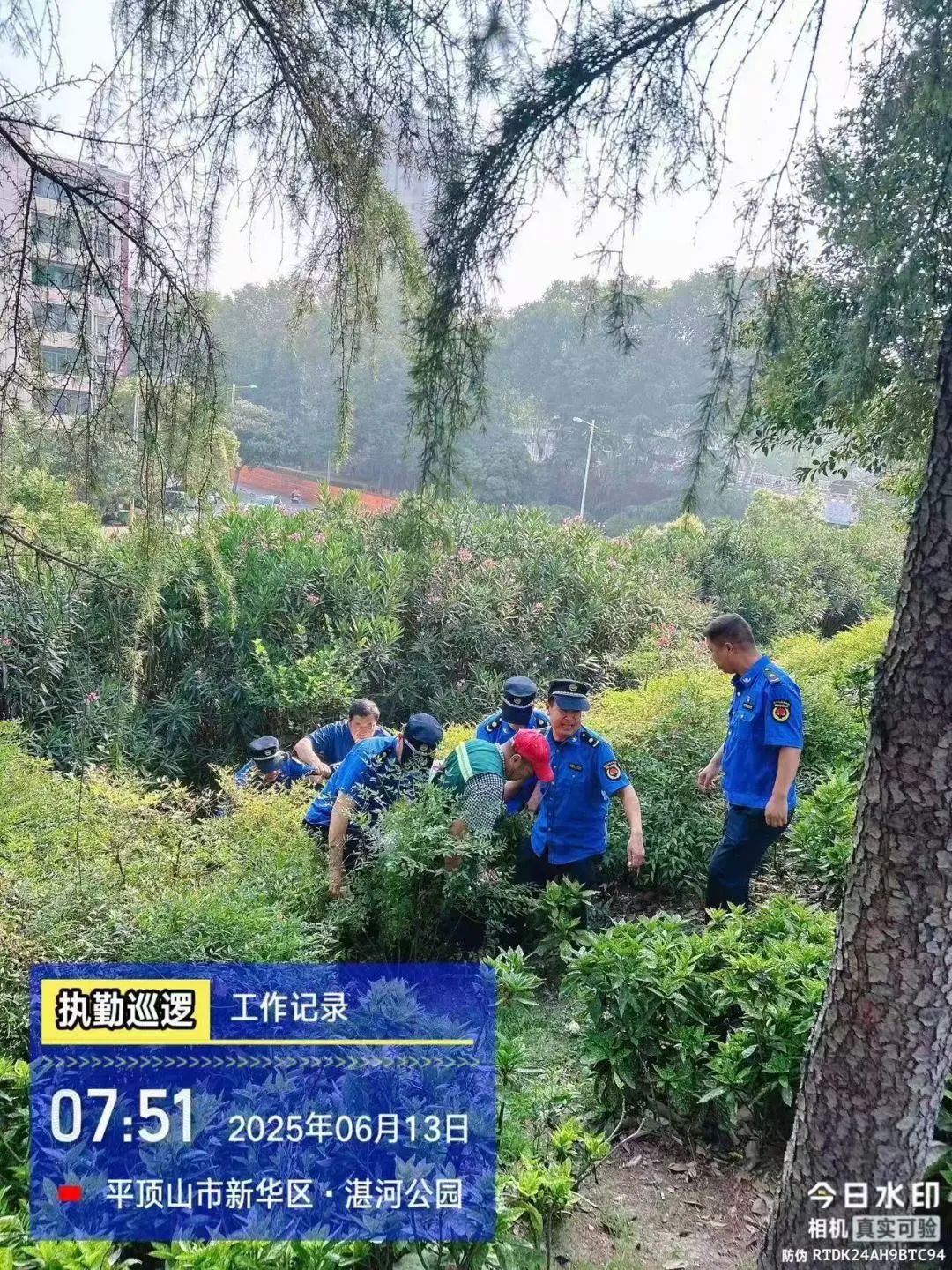 01.jpg