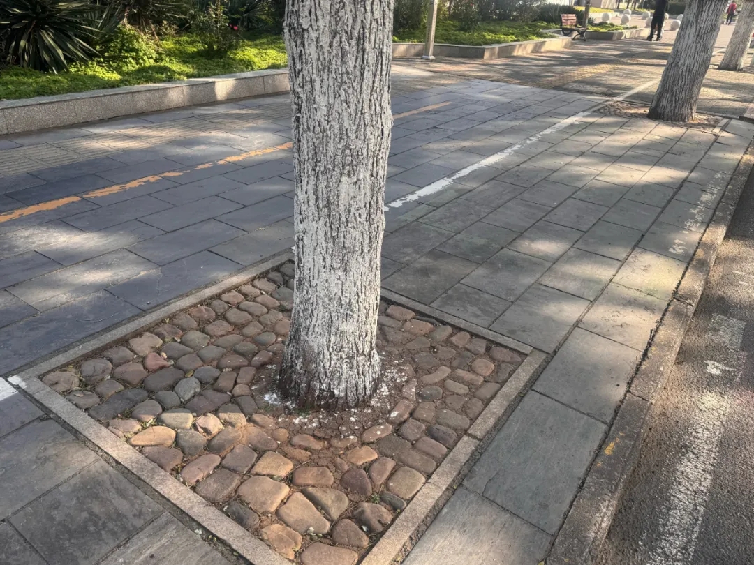 微信图片_20260115090436_387_303.jpg 微信图片_20260115090436_387_303.jpg