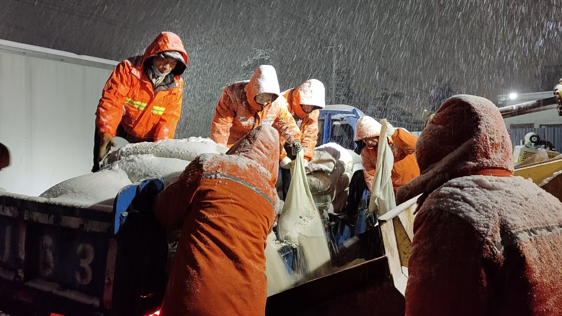 微信图片_20260122084314_391_303.jpg 微信图片_20260122084314_391_303.jpg