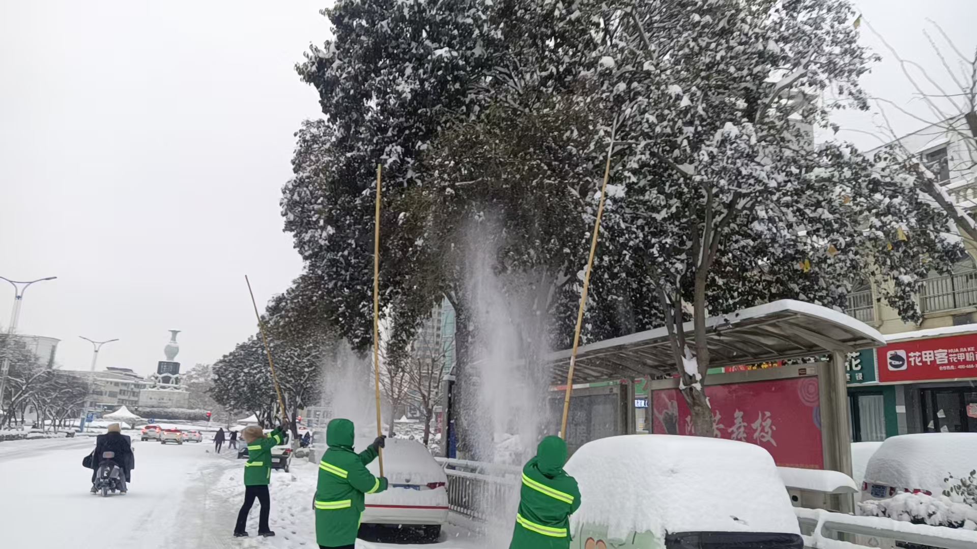 微信图片_20260122084329_393_303.jpg 微信图片_20260122084329_393_303.jpg